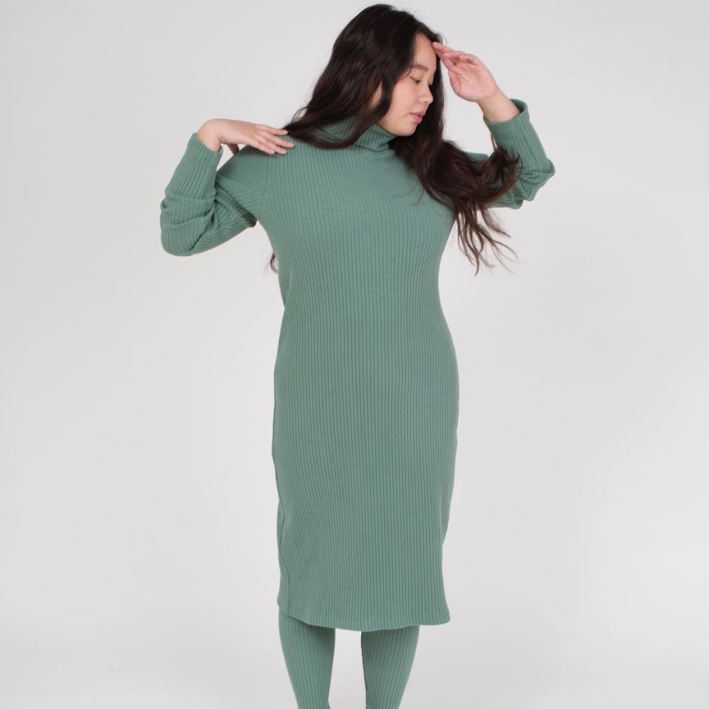 Ilana Kohn Gia Turtleneck Dress in Thorn